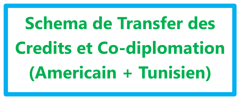 transfer